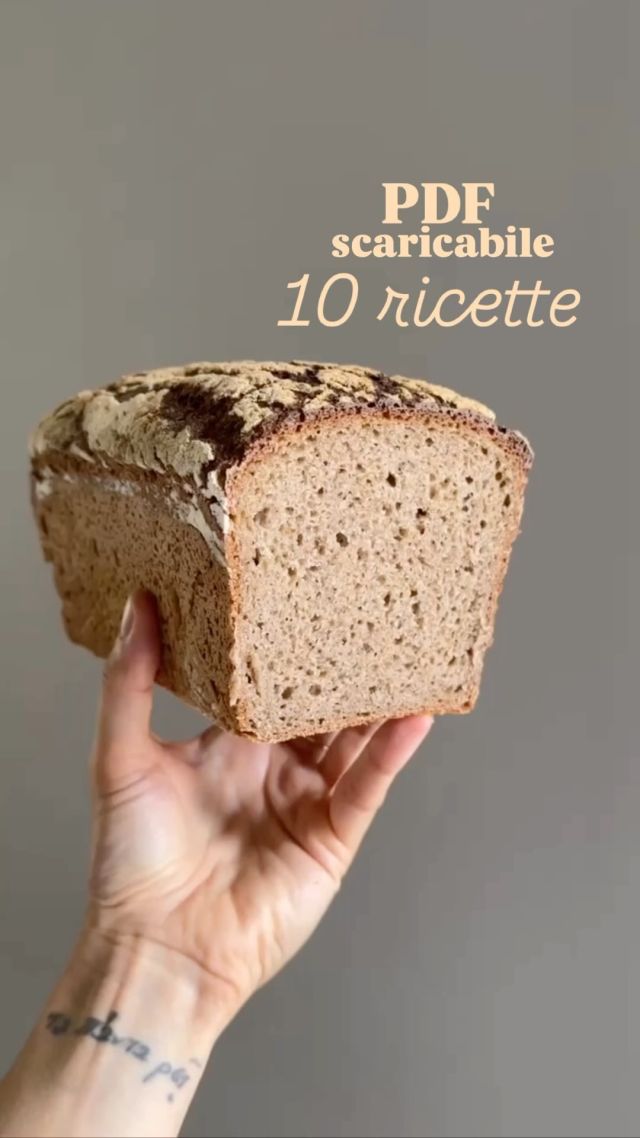 Lievito Madre Bacillus Bulgaricus – Antipasto Per Pane E Yogurt - Foto 4